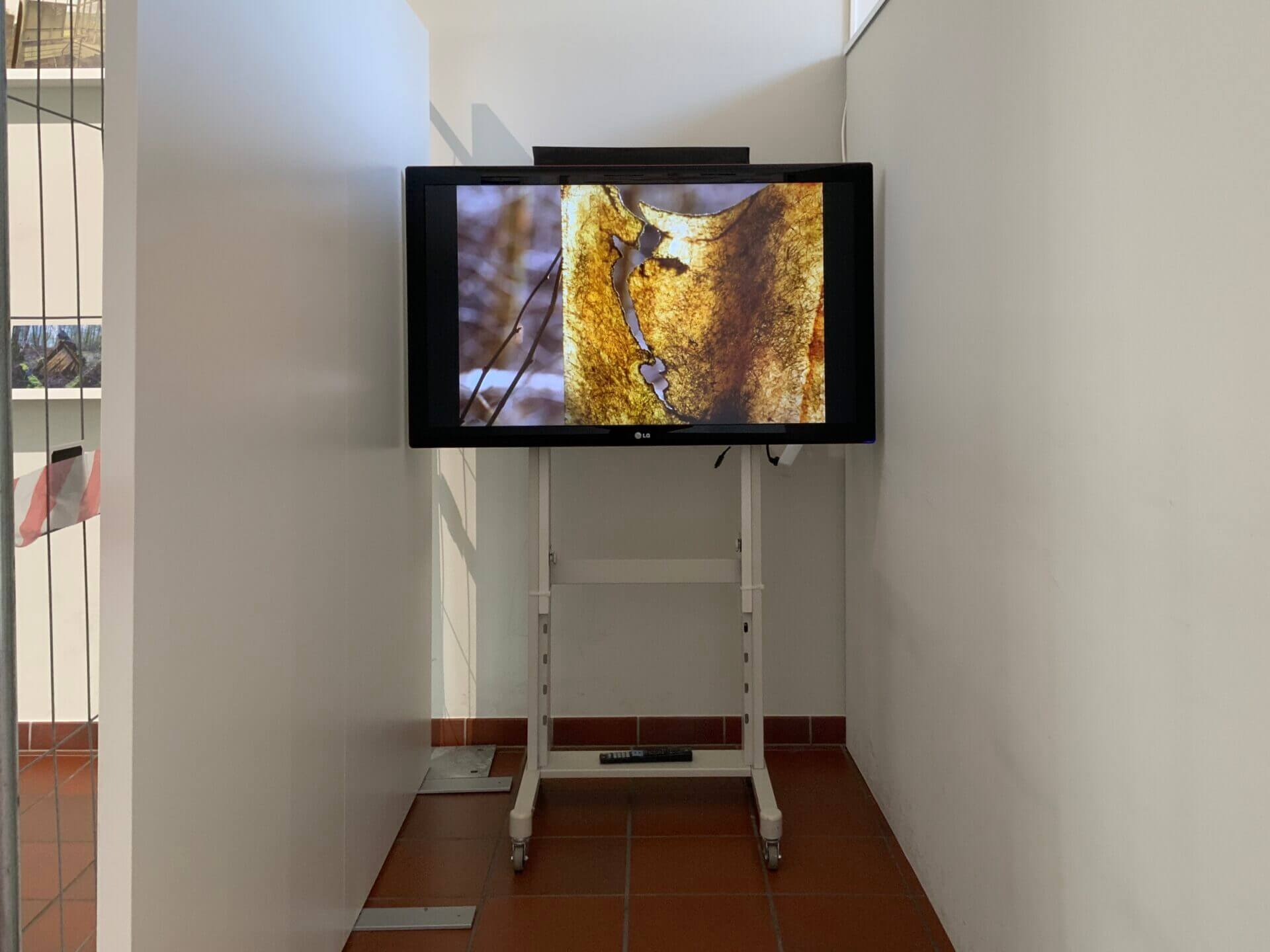 Birgit Bornemann+Fotowerkstatt-LOST PLACES-Schönheit im Verborgenen-Stadtmuseum Norderstedt-2025